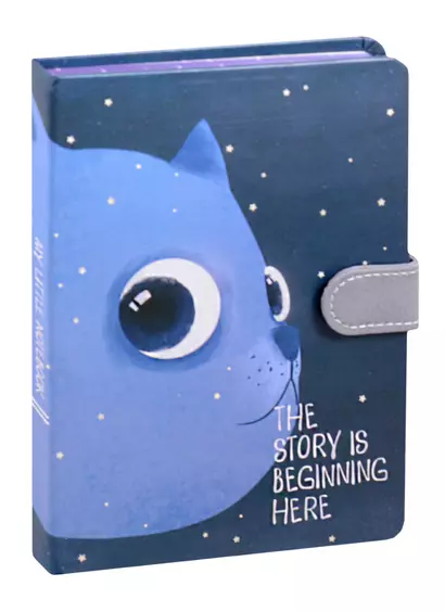 Блокнот с магнитной застежкой "Кот и космос The story is beginning here", 256 страниц, 13 x 19 см - фото 1