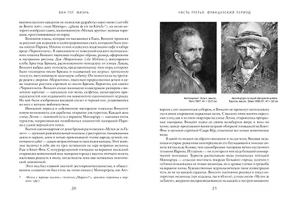 Ван Гог. Жизнь в 2-х тт. (комплект) - фото 4