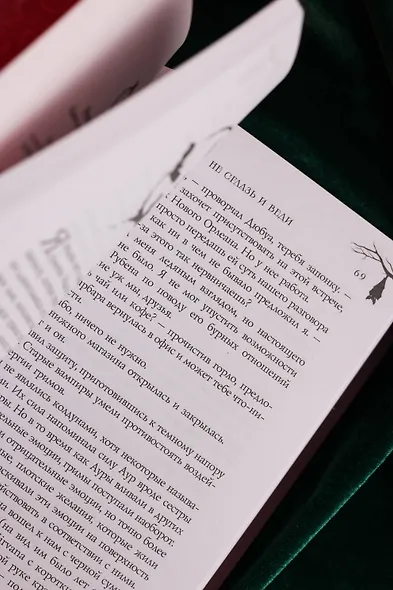 Не сглазь и веди - фото 14