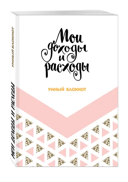 Умный блокнот CashBook «Мои доходы и расходы», 88 листов - фото 2