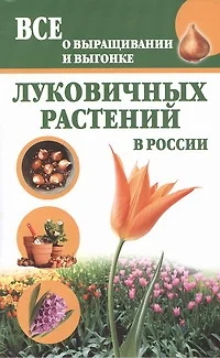 Луковичные растения.Все о выращивании - фото 1