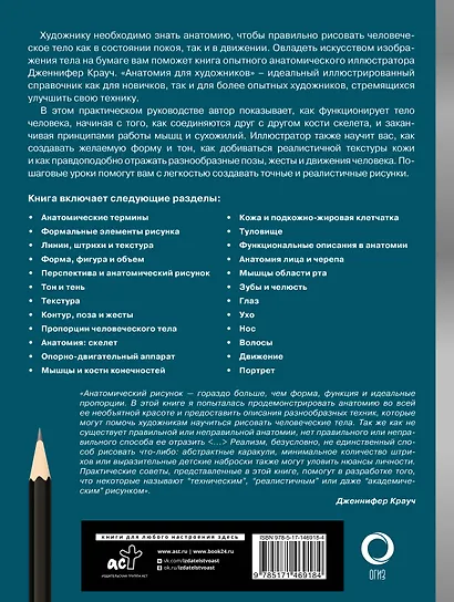 Анатомия для художников - фото 2