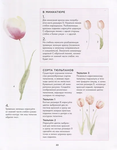 Botanical painting. Вдохновляющий курс рисования акварелью (Харриет де ...