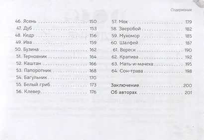 Оракул Послание духов леса (брошюра) - фото 5