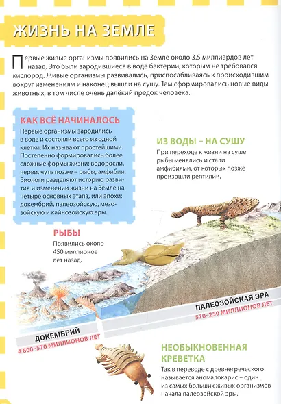 Вселенная и планета Земля - фото 4