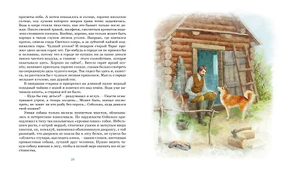 Серая шейка. Рассказы - фото 9