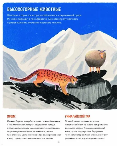 Эверест - фото 5