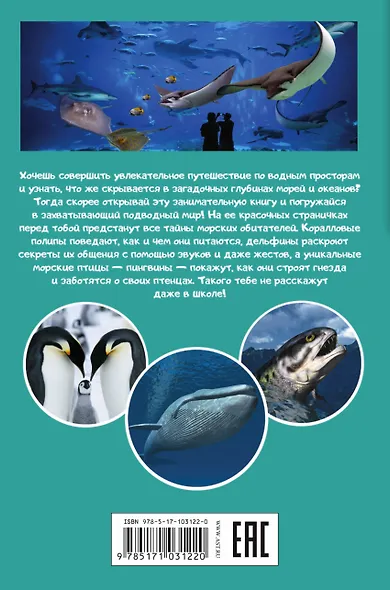 Жители морей и океанов - фото 2