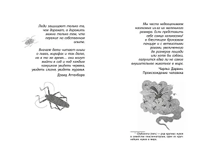Фабр. Битва жуков - фото 5