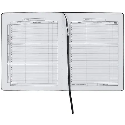 Дневник школьный Феникс+, "Крутой кот" - фото 2