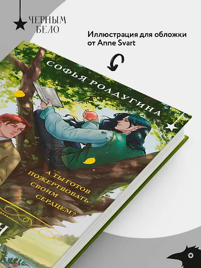 Тимьян и Клевер - фото 6