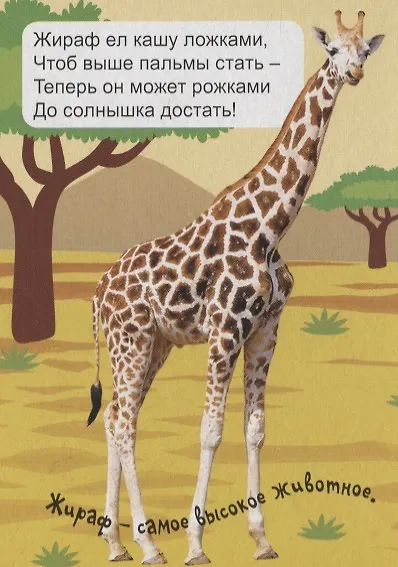 Экзотические животные - фото 4