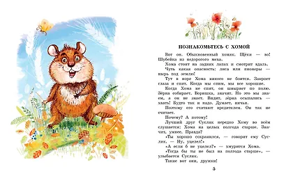 Сказки про Хому и Суслика - фото 9