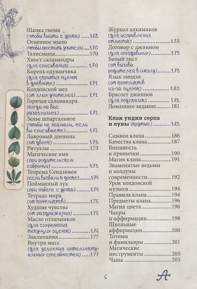 Магия для школьников. Дневник колдовских кланов - фото 5