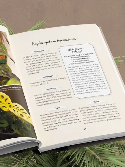 Секреты комнатных джунглей. О чем молчат растения и как понять, что им нужно на самом деле - фото 12