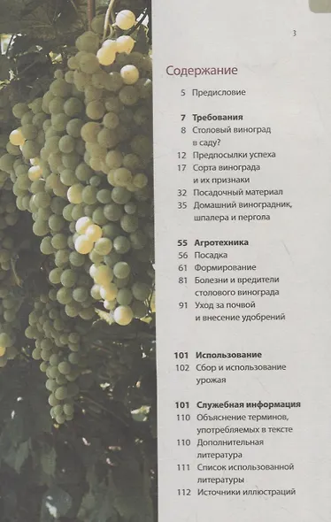 Садовый виноград. Иллюстрированное руководство - фото 2