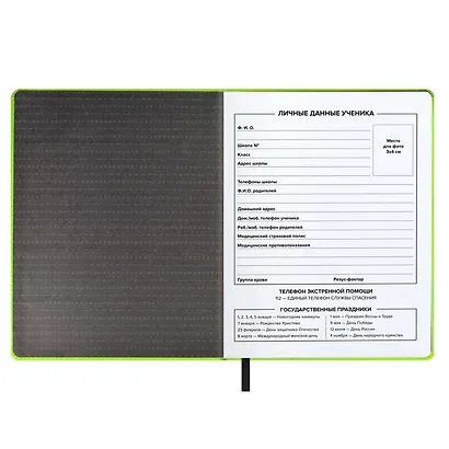 Дневник школьный Феникс+, "Арпатек салатовый" - фото 5