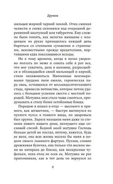 Дружок - фото 12