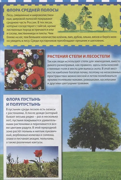 Растения России. Энциклопедия для детей - фото 5