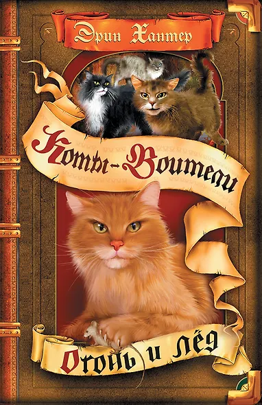 Огонь и лед - фото 1