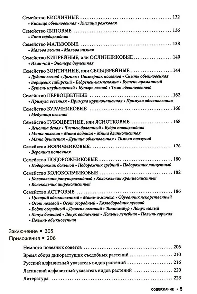 Съедобные дикорастущие растения средней полосы России. Фотоопределитель - фото 4
