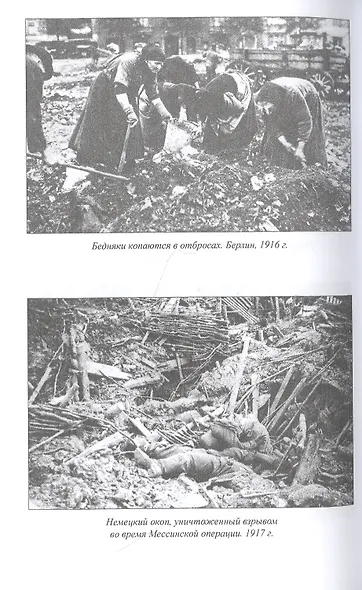 В дни мировой войны. Мемуары министра иностранных дел Австро-Венгрии - фото 4