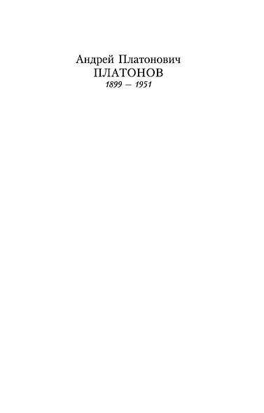 Котлован - фото 6