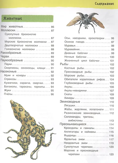Большая иллюстрированная энциклопедия. новая - фото 4