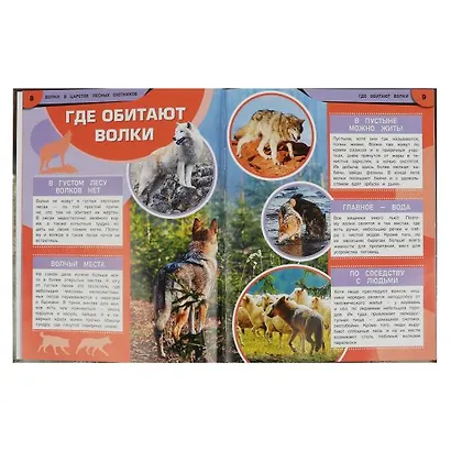 Волки. В царстве лесных охотников - фото 4