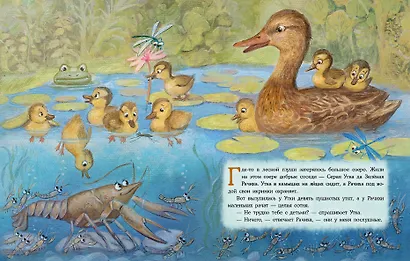Где раки зимуют. Сказка - фото 2