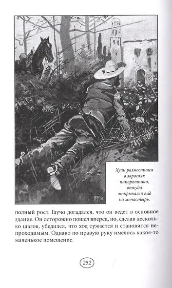 Сын гаучо - фото 5
