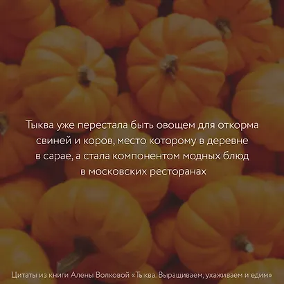 Тыква. Выращиваем, ухаживаем и едим - фото 8