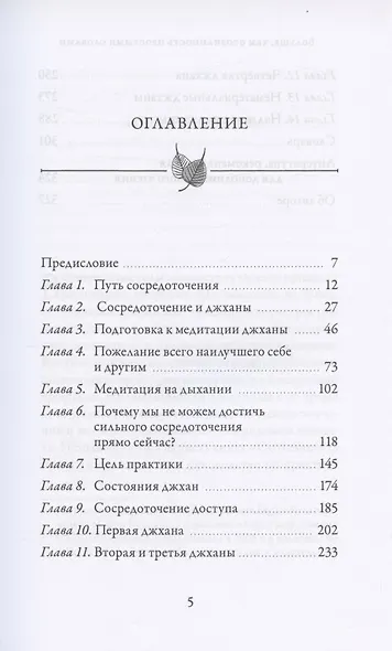 Больше, чем осознанность простыми словами. Простой и понятный путеводитель по джханам, или глубоким медитативным состояниям - фото 2