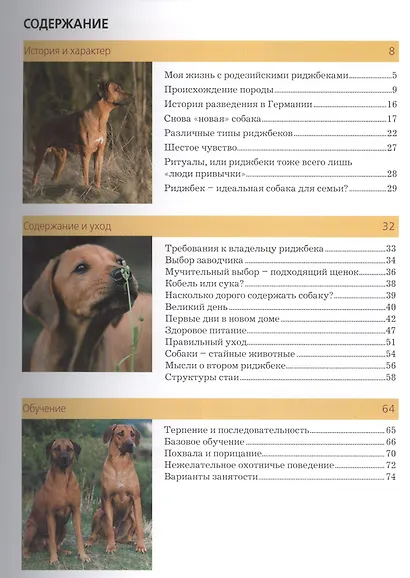 Родезийский риджбек. (мир породы) - фото 2