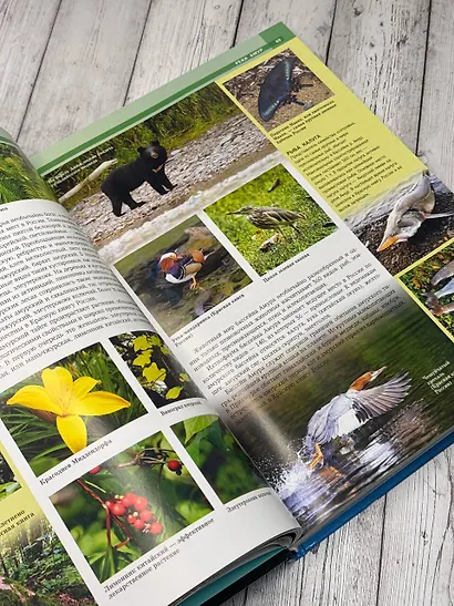 Реки. Уникальная Россия - фото 6