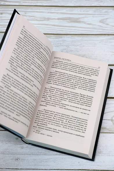 Башня Ласточки : [фантаст. роман] - фото 8