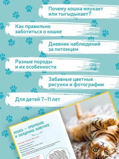 Я и моя кошка. Как понять питомца и стать ему другом - фото 5