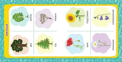 Первые знания малыша. Обучающие плакаты - фото 5