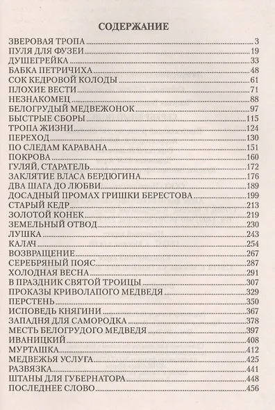 Серебряный пояс - фото 2