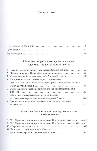 Еврейская составляющая русской идеи: Интеллектуальная жизнь российского еврейства в XIX – начале ХХ века - фото 2