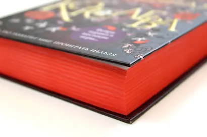 Железная королева - фото 5