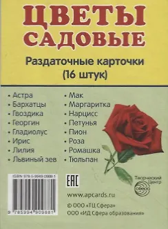 Дем. картинки СУПЕР Цветы садовые. 16 раздаточных карточек с текстом (63х87 мм) - фото 2