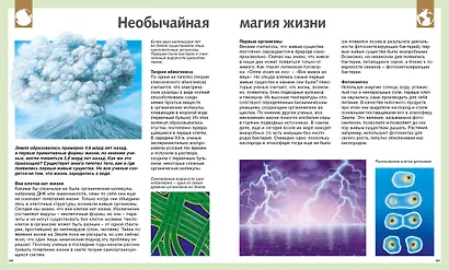 Универсальная школьная энциклопедия - фото 8