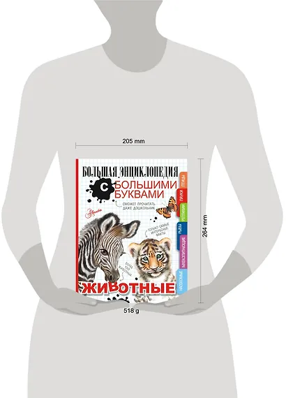 Животные. Большая энциклопедия с большими буквами - фото 4