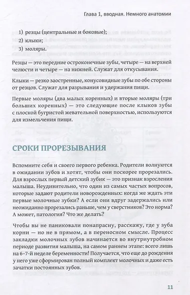 Зубки и зубы: всё о молочных и постоянных зубах ребенка: советы детского стоматолога - фото 5