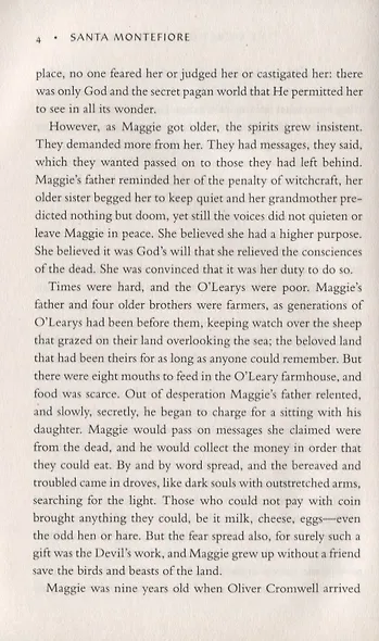 The Secret of the Irish Castle - фото 4