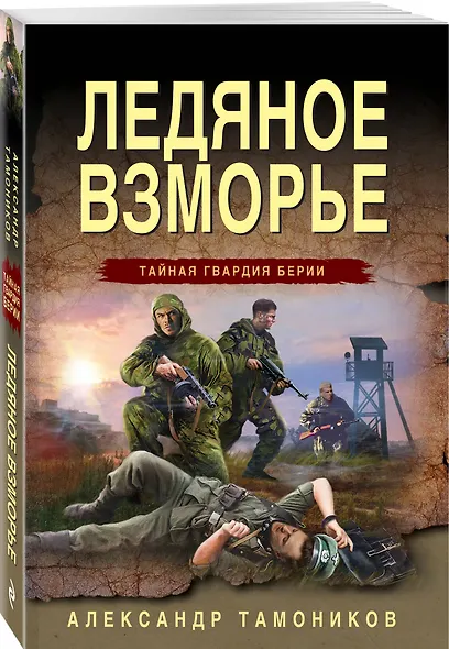 Ледяное взморье - фото 3