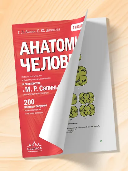 Анатомия человека: 2 издание - фото 11