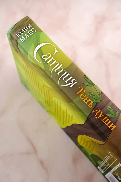 Саттия. Тень души - фото 12