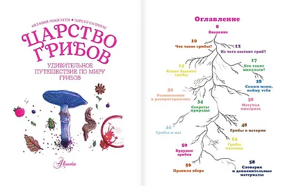 Царство грибов - фото 8